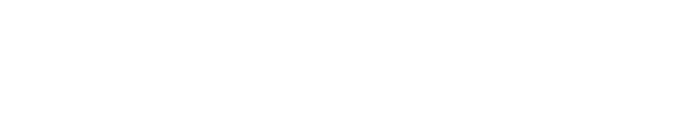 ShauryaOS Logo